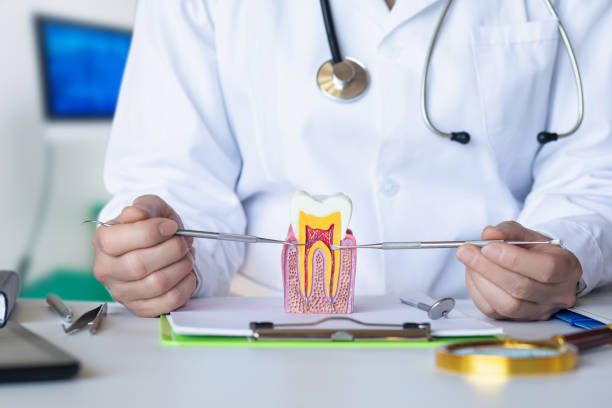 Best Emergency Tooth Extraction in Sisters, OR
